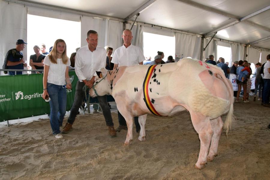 Ulla van de Stokerij