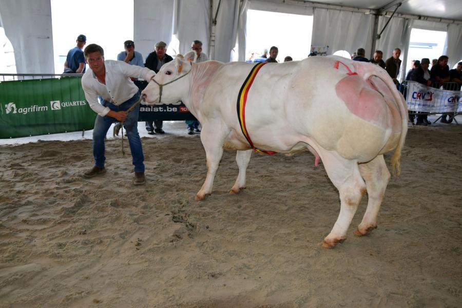 Tina van de Pannemeers