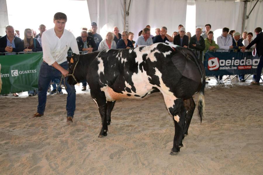 Venus van de Pannemeers