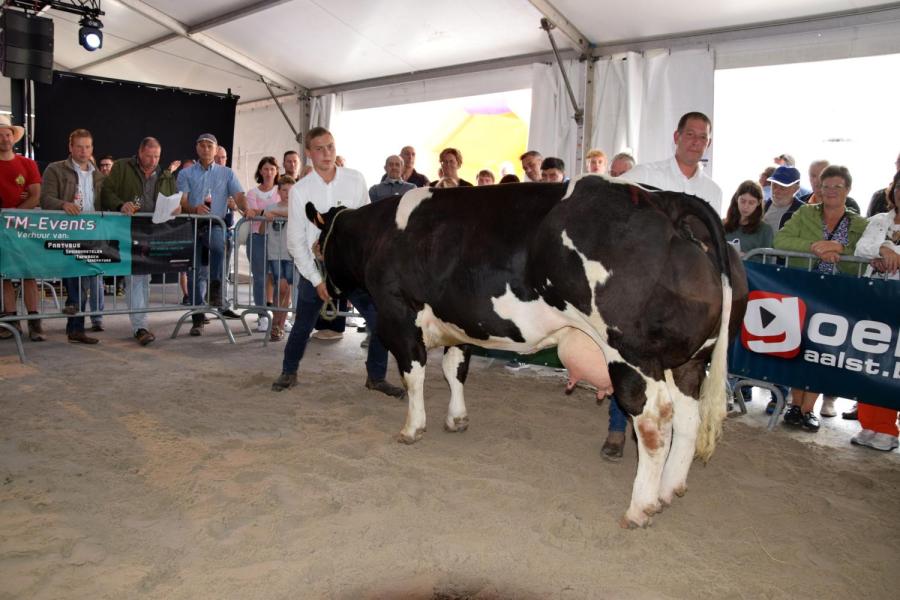 Henrieke van de Zellikveldhoeve