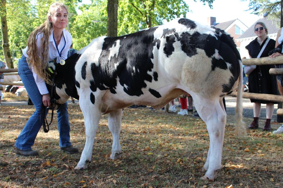 Mango VHH (v. Eclaireur), kampioen pinken