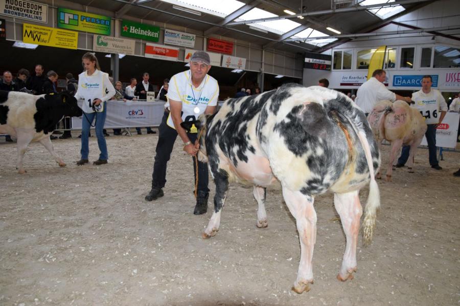 Kampioenen nvm bwb 11