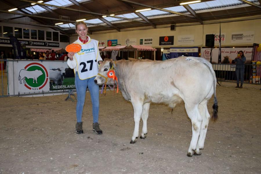 rubriek Piemontese 1