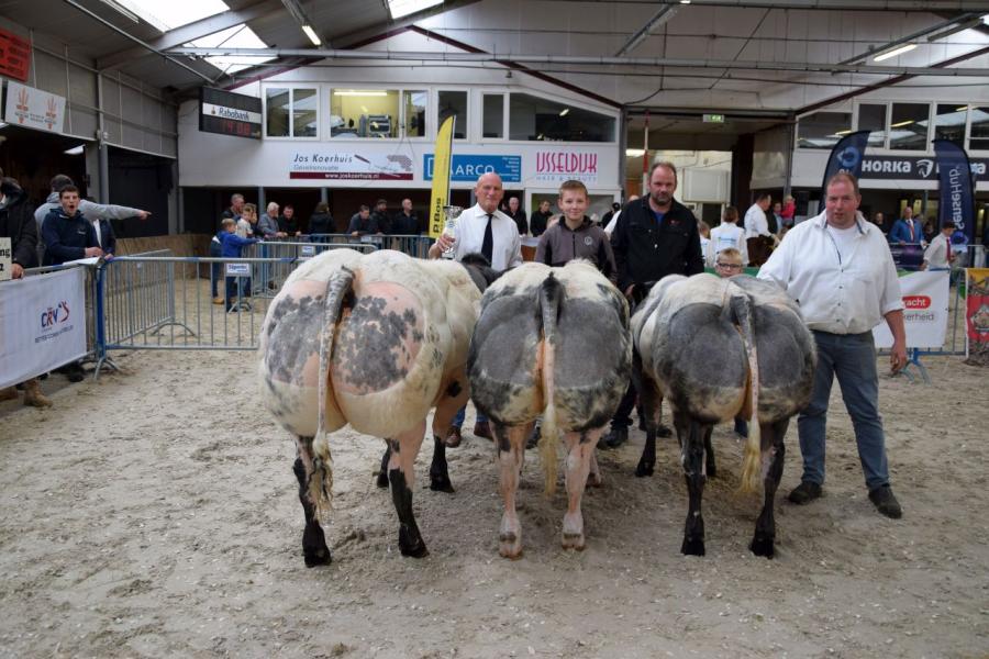 kampioenen nvm bwb 15