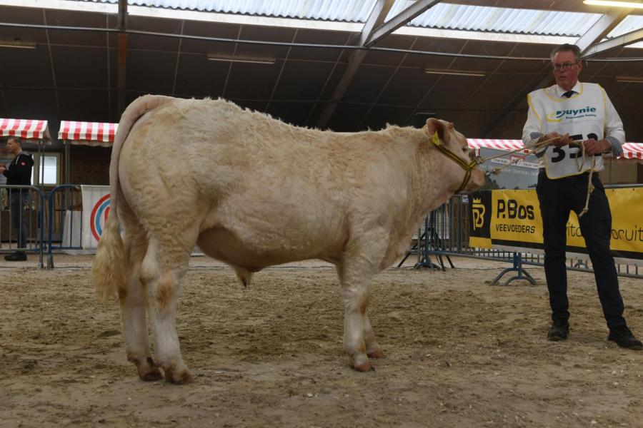 Amadeus (v Strauss), winaar rubriek mannelijk tot een jaar