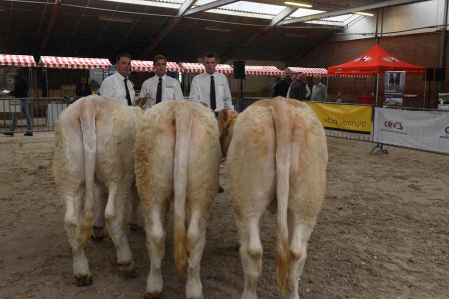 De winnende bedrijfsgroep van de familie Van Nieuwenhuizen 
