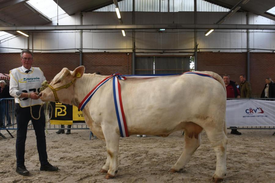 Puccini (v. Invictus), winnaar van de rubriek zoogstellen en algemeen kampioen vrouwelijk