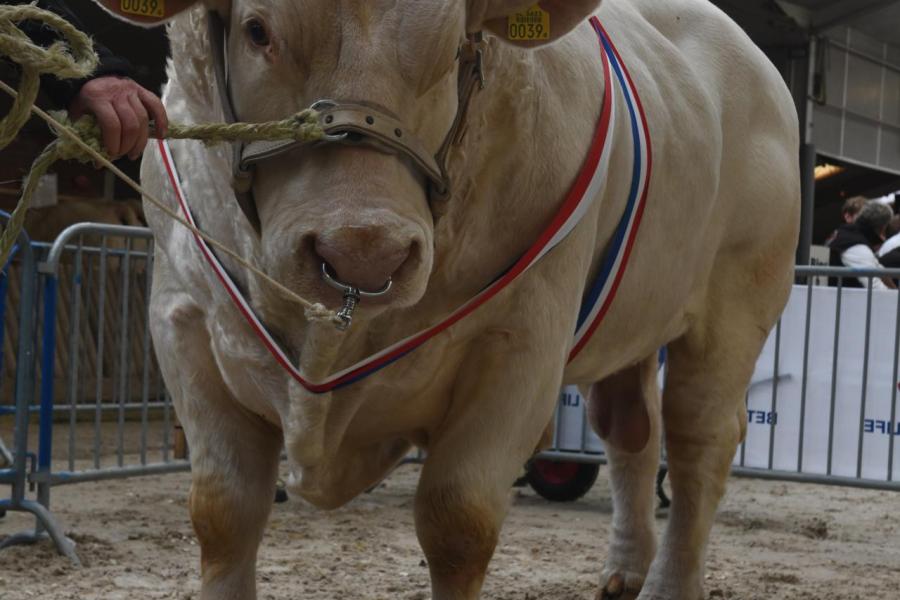 Strauss maakte indruk met zijn enorme ontwikkeling