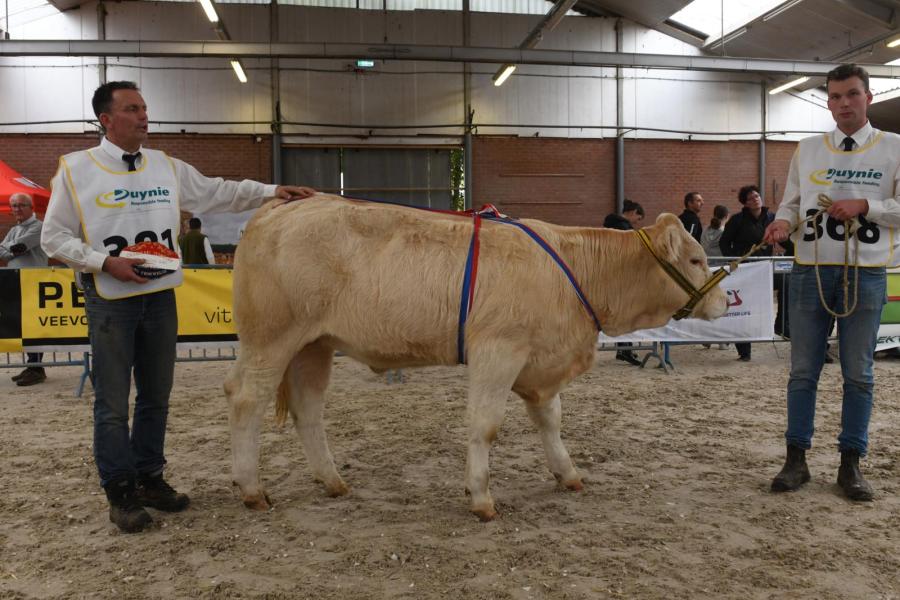 Veronica vd Helenahoeve (v. Perceval), winnaar rubriek pinken en kampioen vrouwelijk t/m 2 jaar