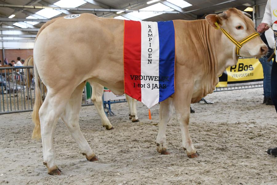 Valexia van de Woeste Hoeve (v. Structure), kampioene vrouwelijk 1 tot 2 jaar en algemeen kampioene