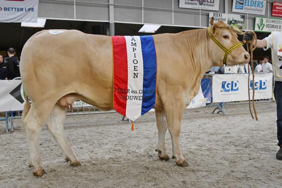 Orange (v. Hilario), kampioen vrouwelijk 3 jaar en ouder