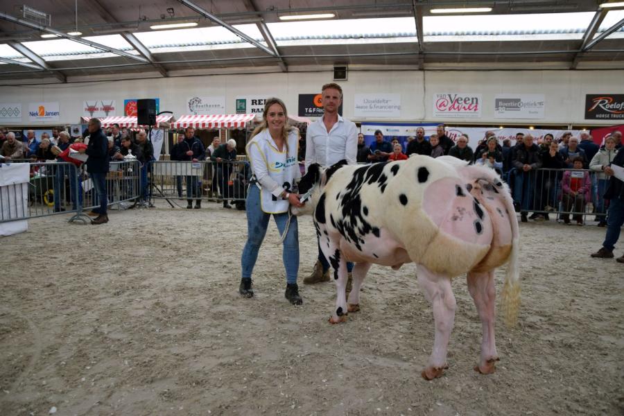 kampioenen nvm bwb 12