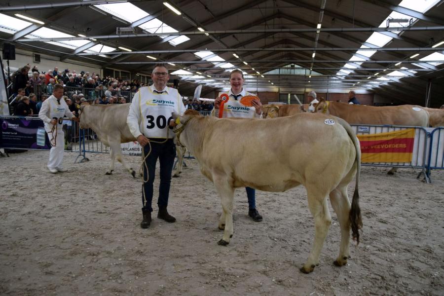 rubriek Piemontese 8