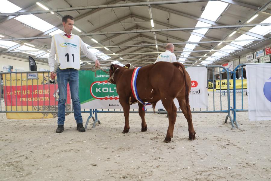 NVM 2025 verbeterd roodbont