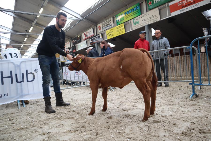 NVM 2025 verbeterd roodbont