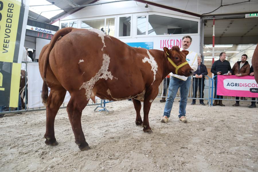 NVM 2025 verbeterd roodbont