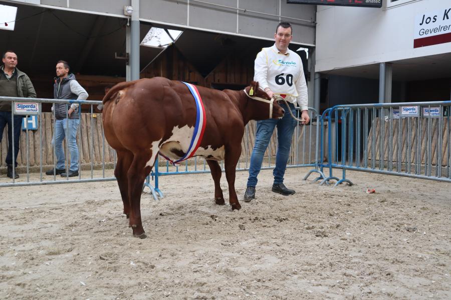 NVM 2025 verbeterd roodbont