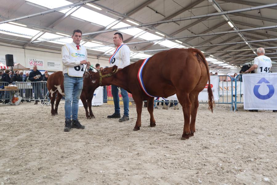 NVM 2025 verbeterd roodbont