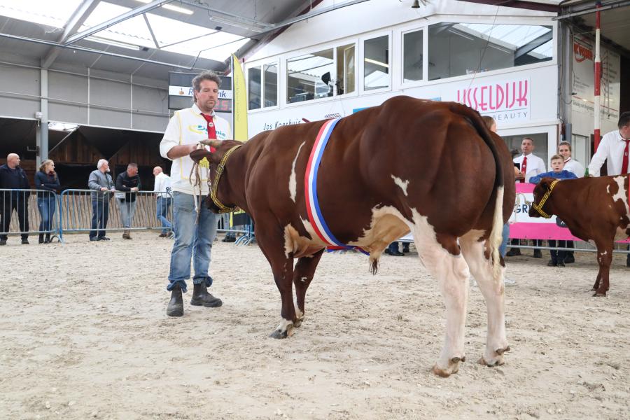 NVM 2025 verbeterd roodbont