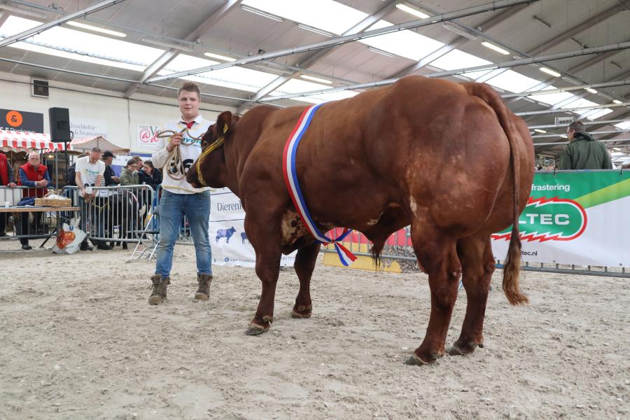 NVM 2025 verbeterd roodbont