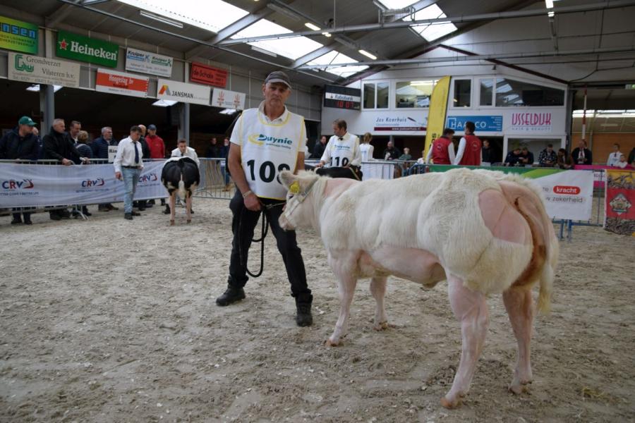 Kampioenen nvm bwb 10