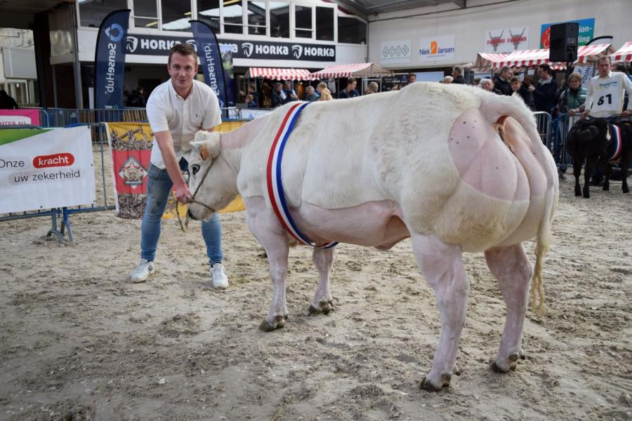 Kampioenen nvm bwb 2