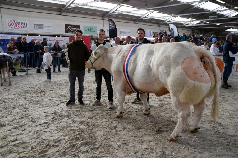 Kampioenen nvm bwb 6