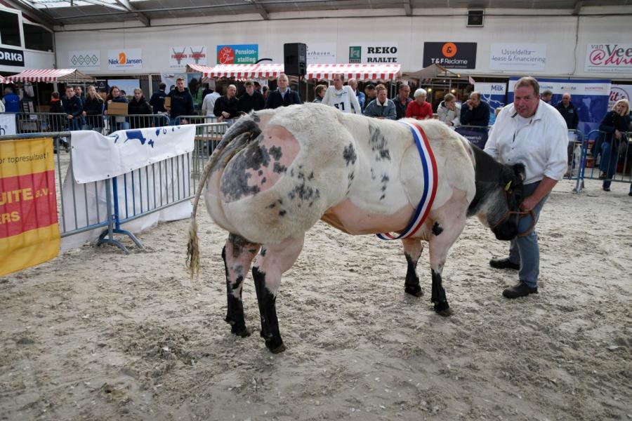 kampioenen nvm bwb 5