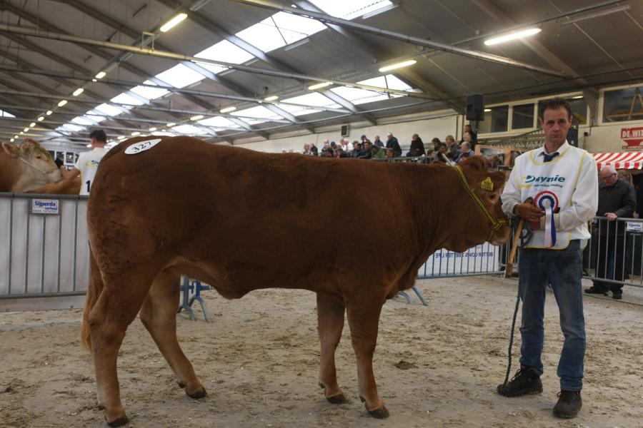 Qred Uza (v. Radieux), kampioen pinken