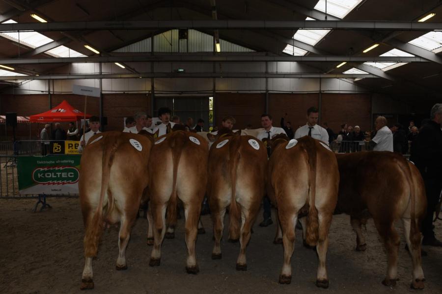 De winnende bedrijfscollectie van 't Hoogeveld