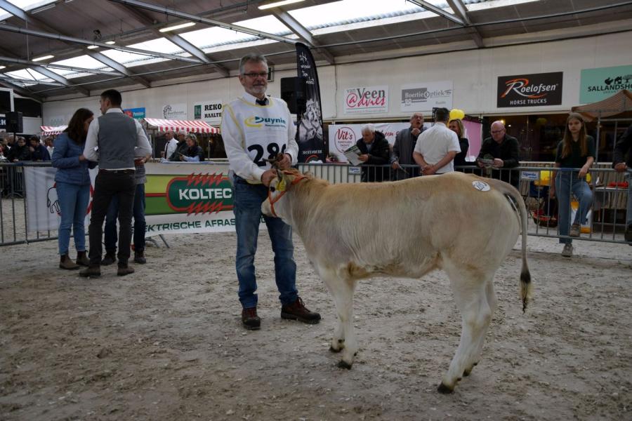 rubriek Piemontese 3