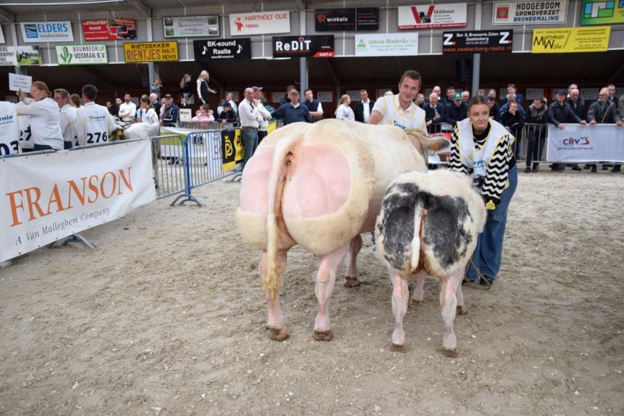 kampioenen nvm bwb 14