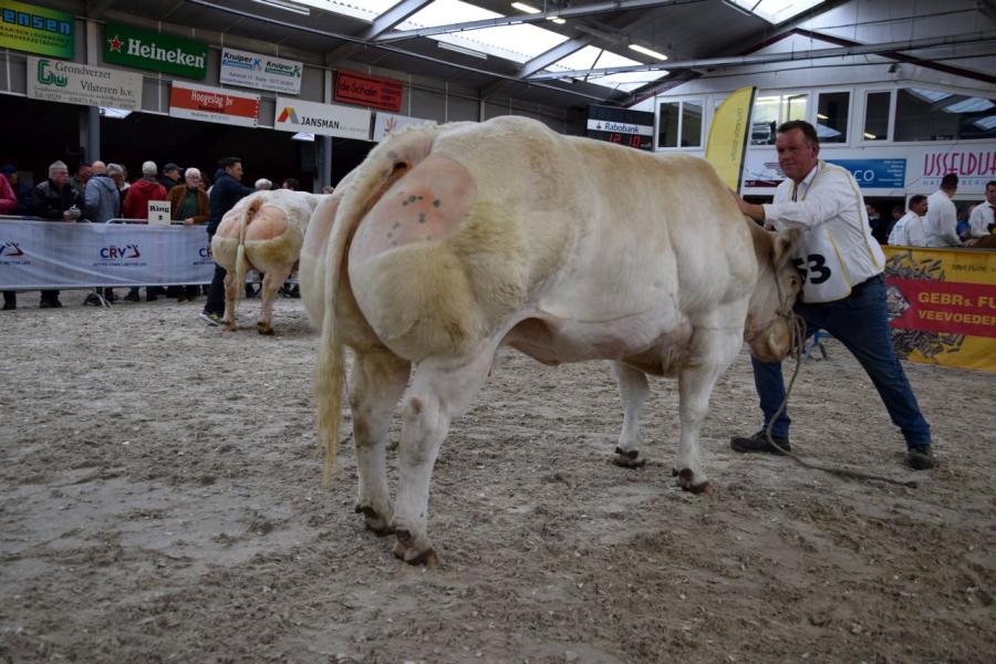 kampioenen nvm bwb 13