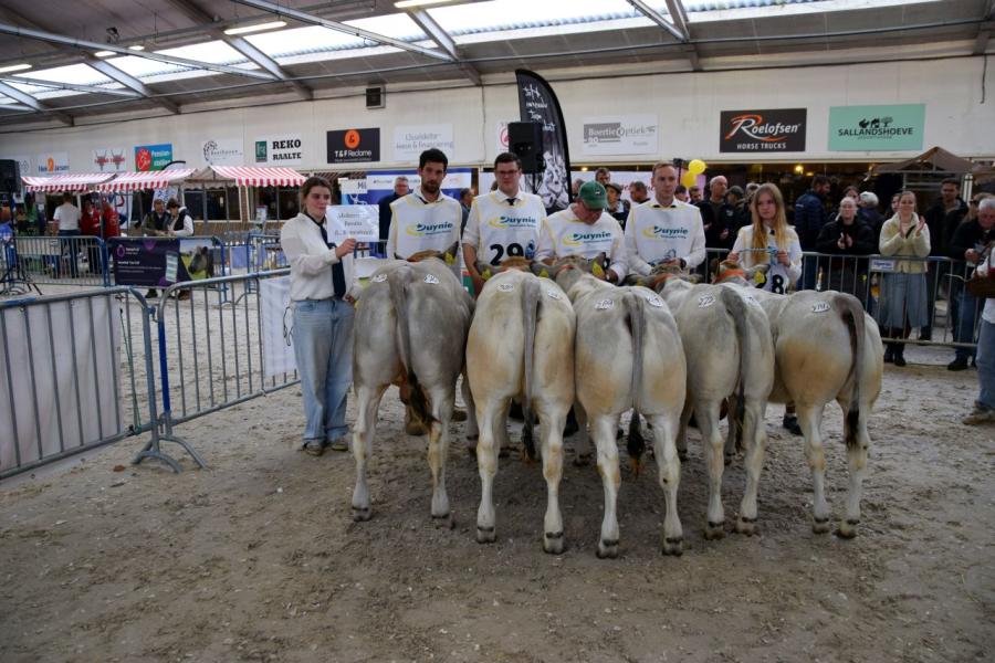 kampioenen NVM Piemontese 10