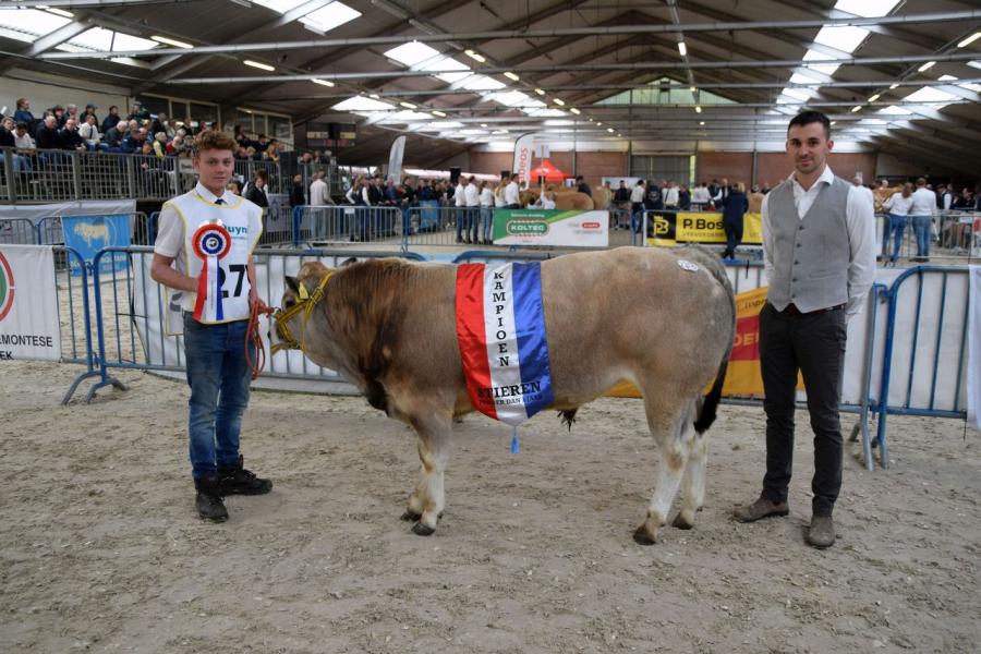 kampioenen NVM Piemontese 8