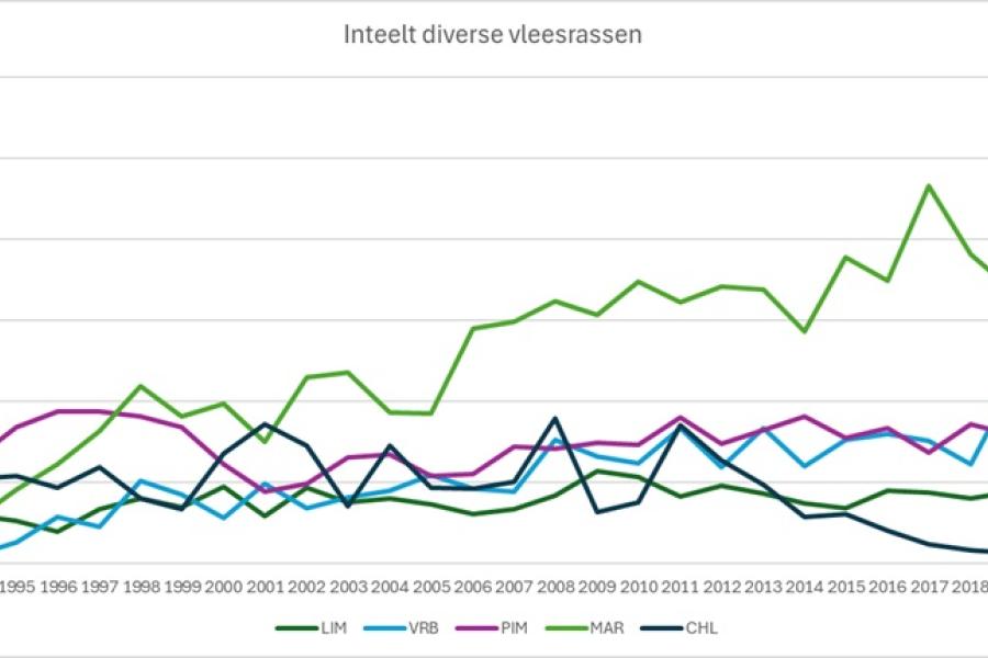 inteelt vleesrassen