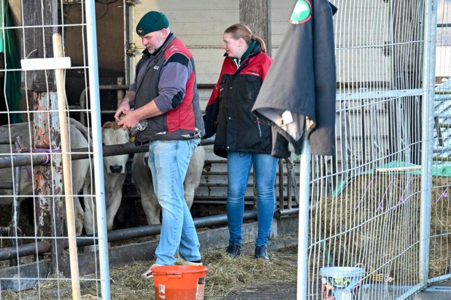 Om te voorkomen dat wolven in de stal komen, zijn er hekken geplaatst