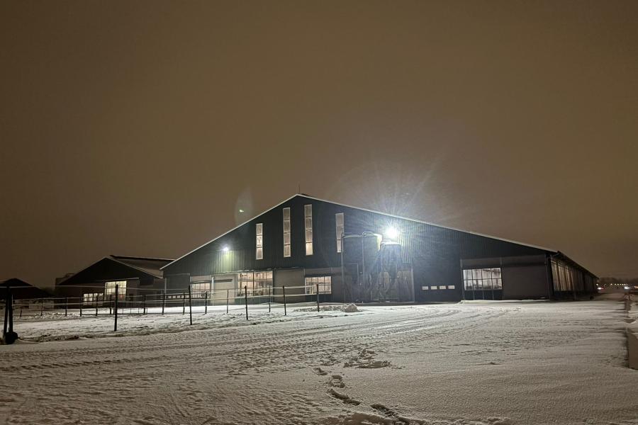 Ook in het Vlaamse Mortsel is sneeuw gevallen (foto: Van Hoof Holsteins)