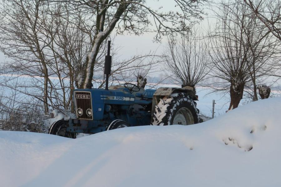 Een Ford 4600 bij de familie Vervloedt in Herwijnen trotseert de sneeuw (foto Gerrit Vervloedt) 