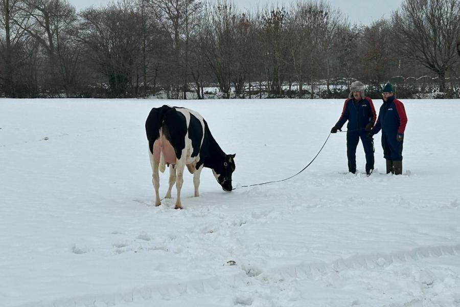 Een Parkerdochter van de familie Willemse uit Beers wordt voorbereid voor een fotosessie in de sneeuw door Anna Joosse. (foto Marcel Hellegers)