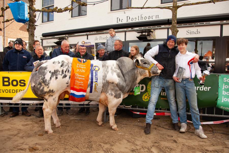 Veehandel Patrick van den Berg