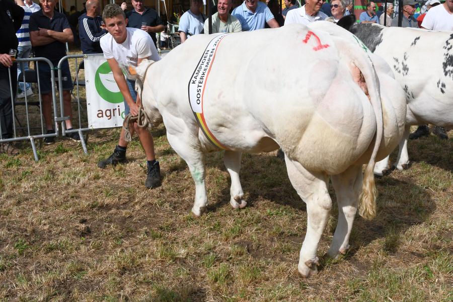kampioen oude vaarzen Iris