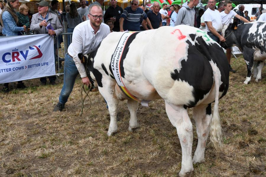 kampioen vaarzen Romi