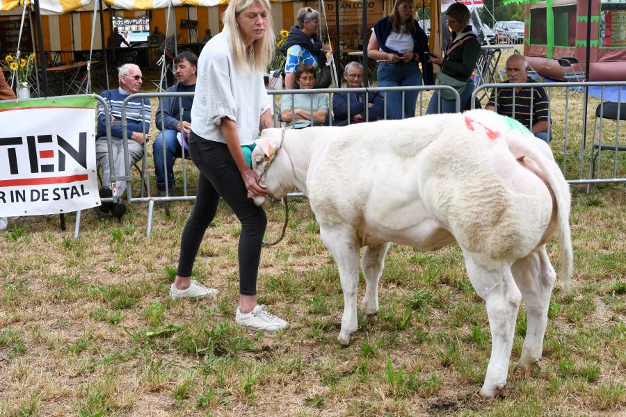 rubriek vaarskalveren Valentina
