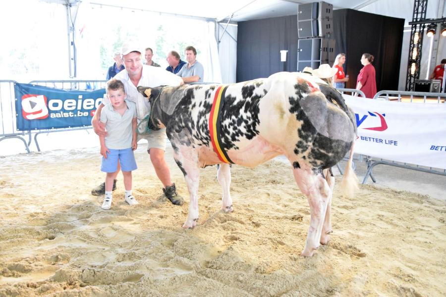 Kamp vaarzen Unicom