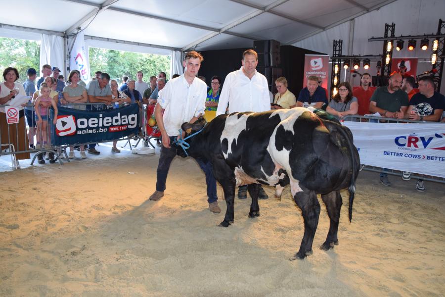 rubriek stieren Valdric