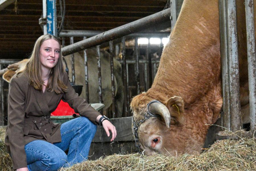 dochter met stier