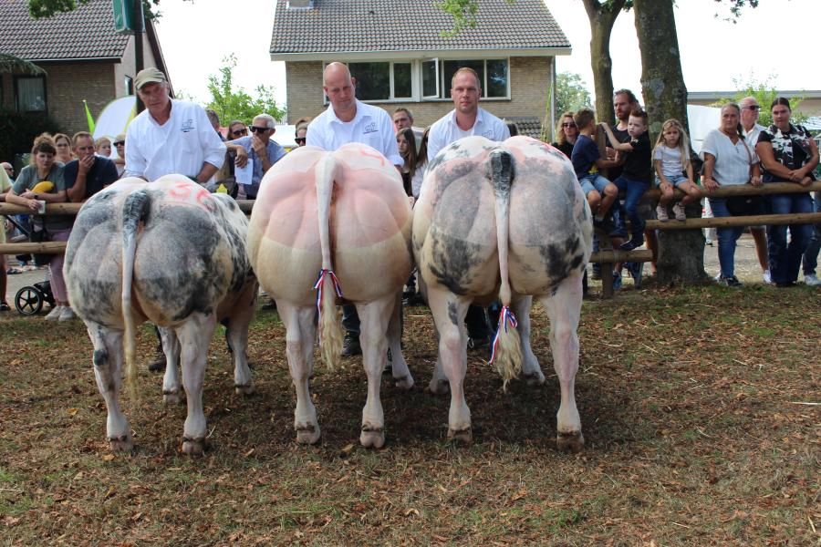 Beste bedrijfsgroep vrouwelijk 1 tot 2 jaar voor de familie Hunnekens uit Grashoek