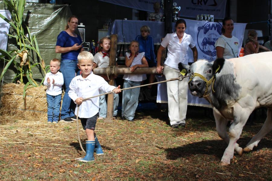 Ook de jeugd was actief in de ring in Geffen