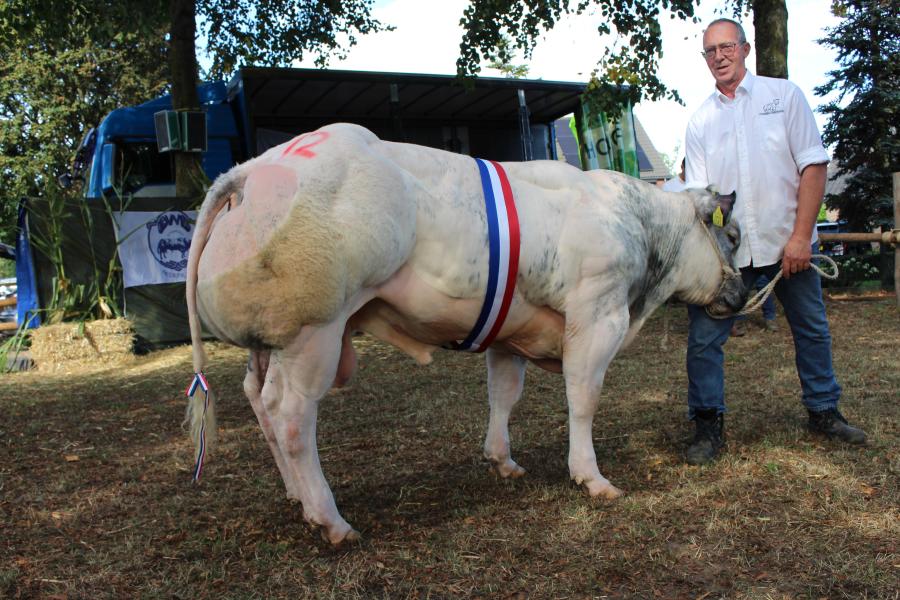 Ribery van Maris (v. Fute), kampioen oudere stieren